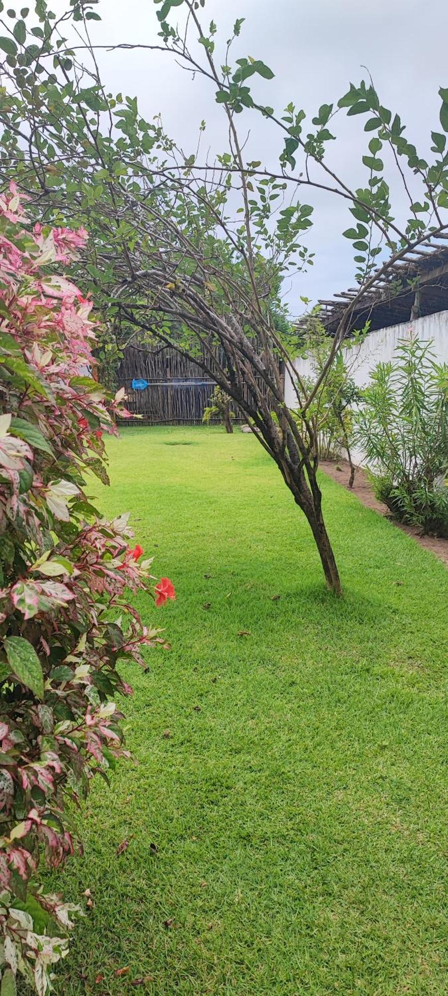 Pousada Sunshine Patacho Rota Ecologica Dos Milagres Pôrto de Pedras المظهر الخارجي الصورة