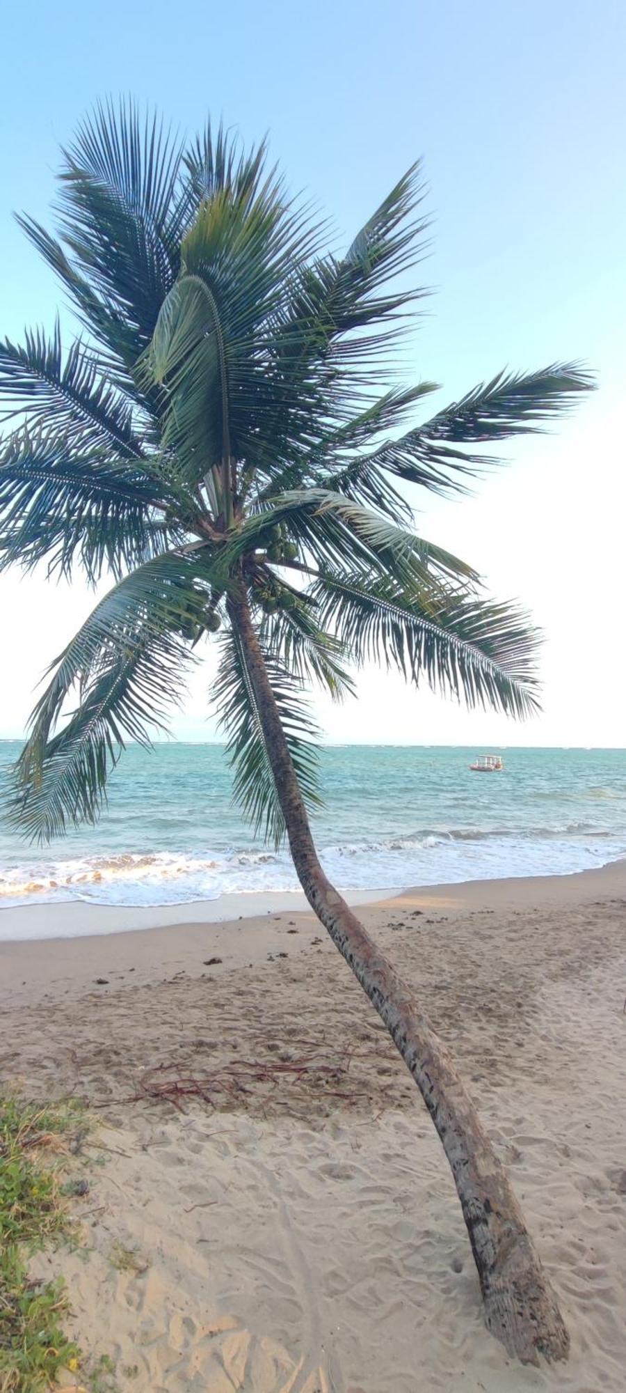Pousada Sunshine Patacho Rota Ecologica Dos Milagres Pôrto de Pedras المظهر الخارجي الصورة