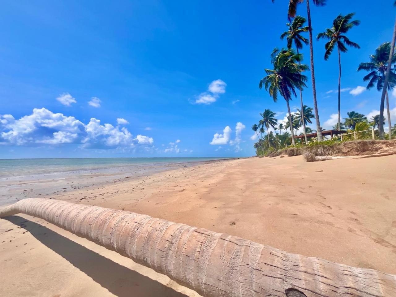 Pousada Sunshine Patacho Rota Ecologica Dos Milagres Pôrto de Pedras المظهر الخارجي الصورة